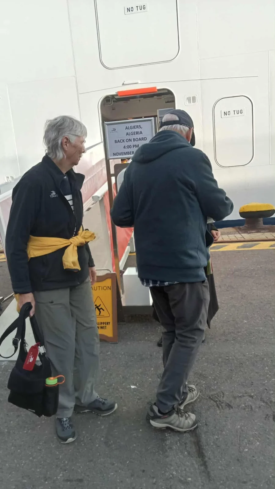 欢迎旅游船“维京·萨坦”号抵达阿尔及尔港