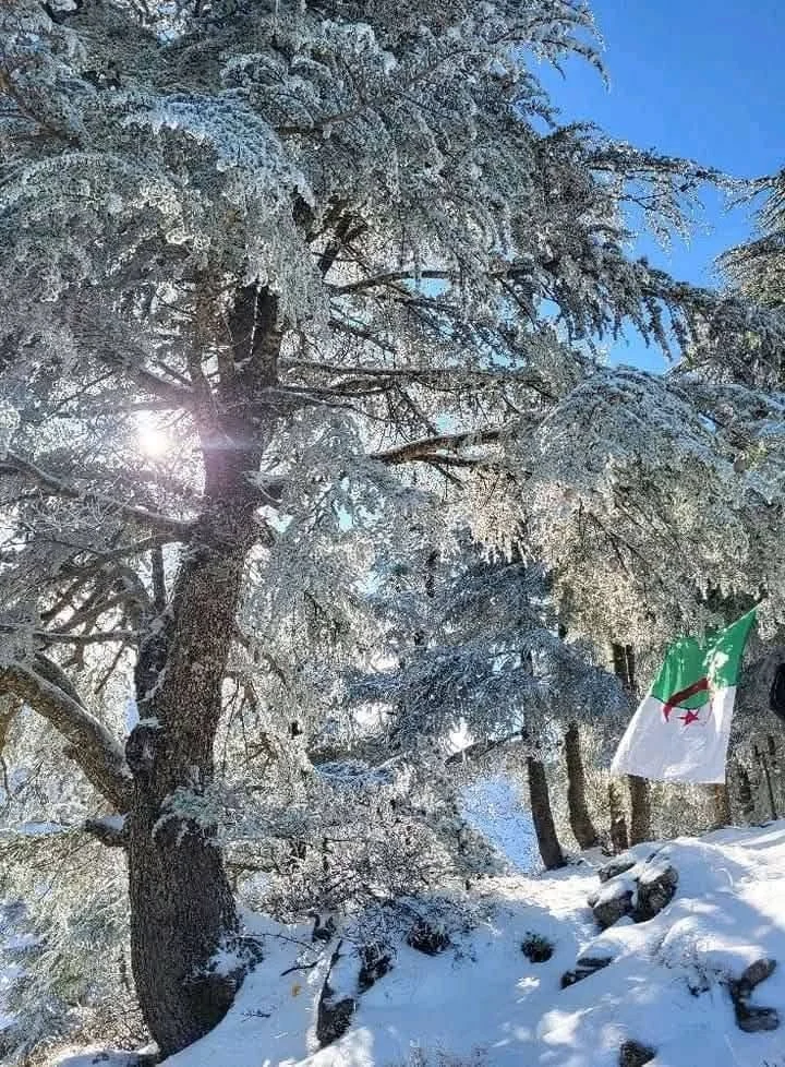 The snow-covered Djurdjura heights between Tizi Ouzou and Bouira