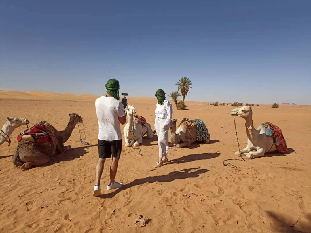 اليوم الرابع للوفد الصحفي الأمريكي في تيميمون