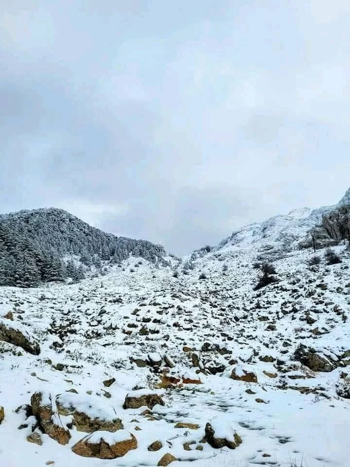 The snow-covered Djurdjura heights between Tizi Ouzou and Bouira