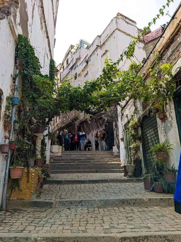 Beauty and grandeur of the architecture in the Kasbah of Algiers