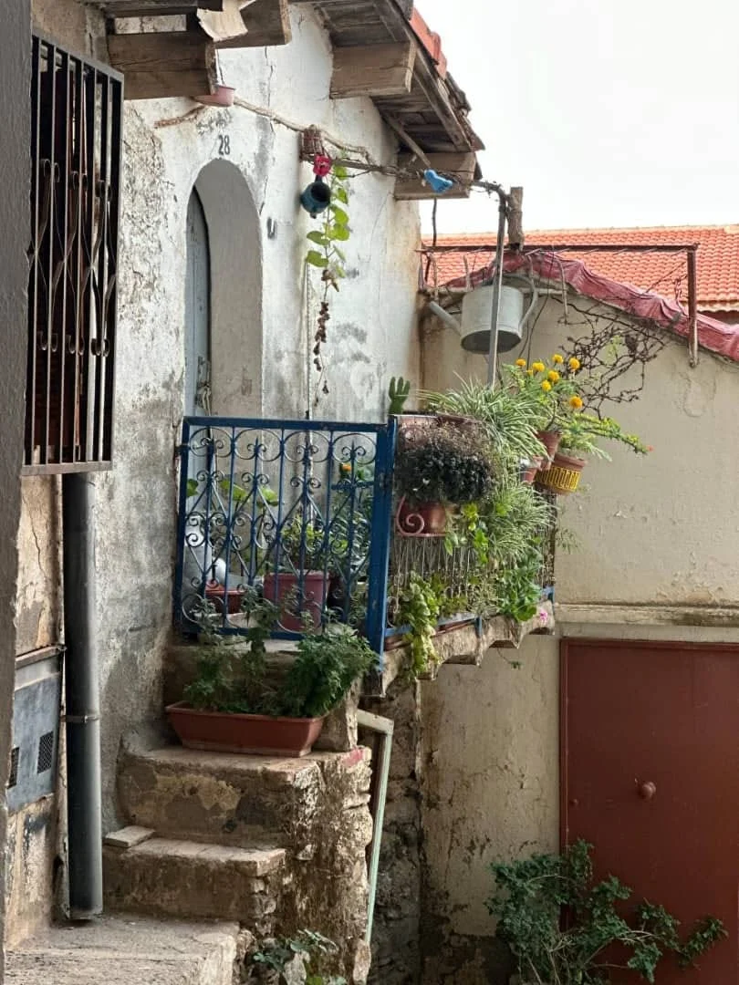 Excursión de periodistas a Aït Yne y a la aldea Aït L'Hassan, Tizi Ouzou