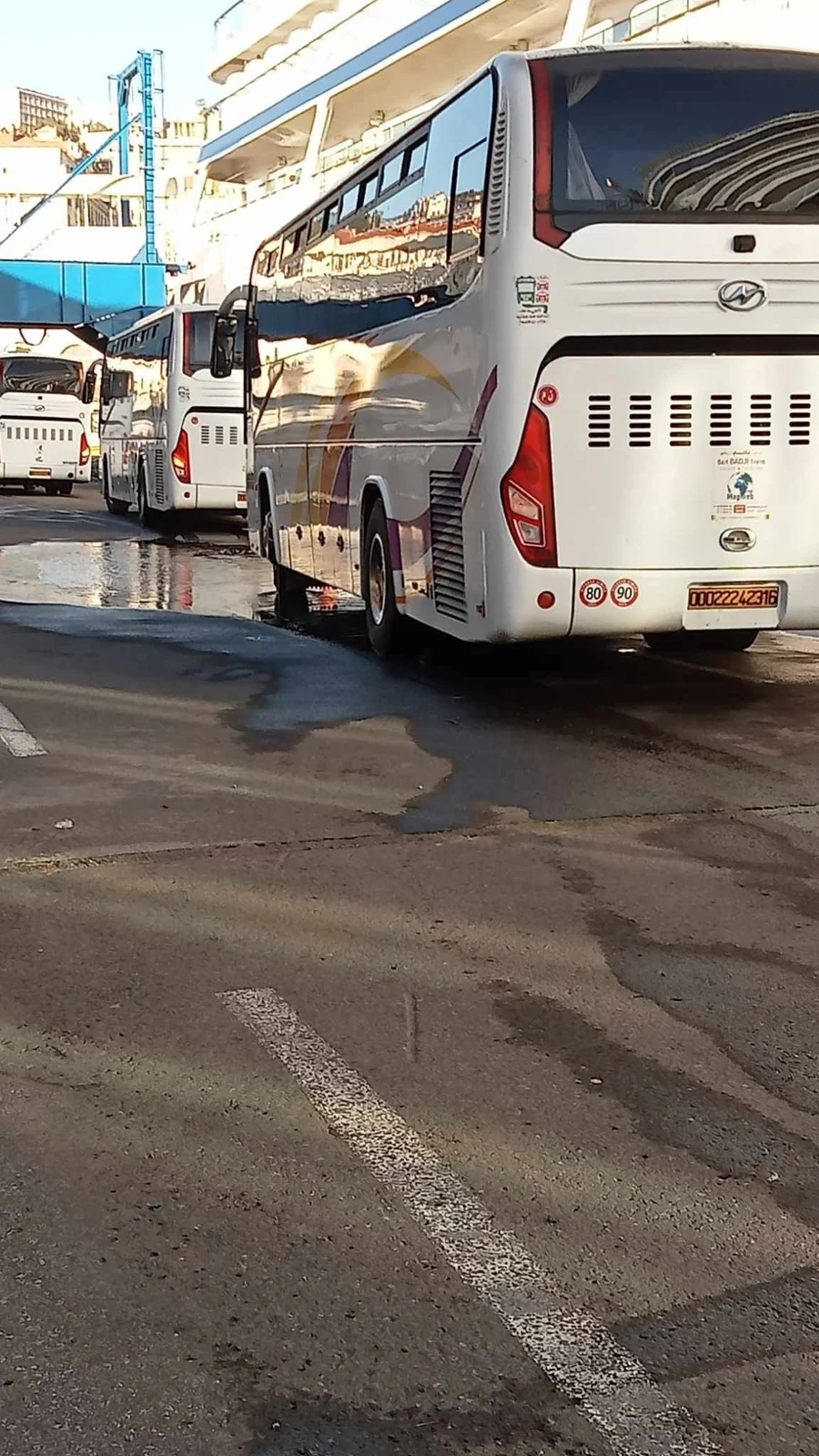 Принятие круизного судна Viking Saturn Bergen в порту Алжира