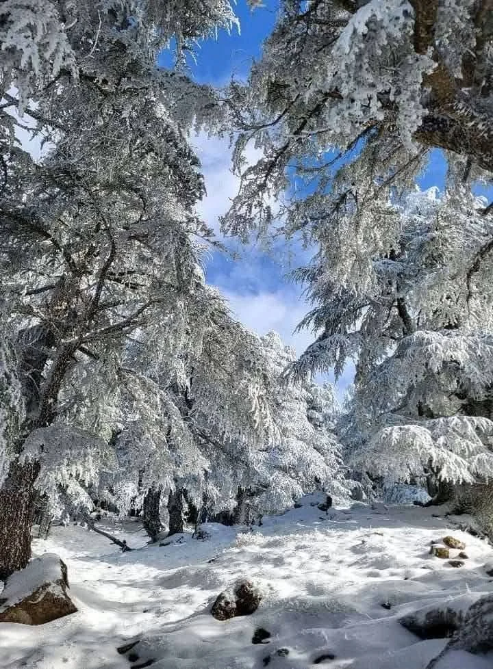 The snow-covered Djurdjura heights between Tizi Ouzou and Bouira