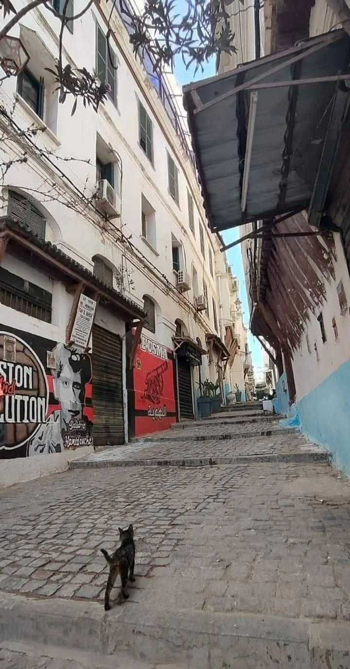 Beauty and grandeur of the architecture in the Kasbah of Algiers