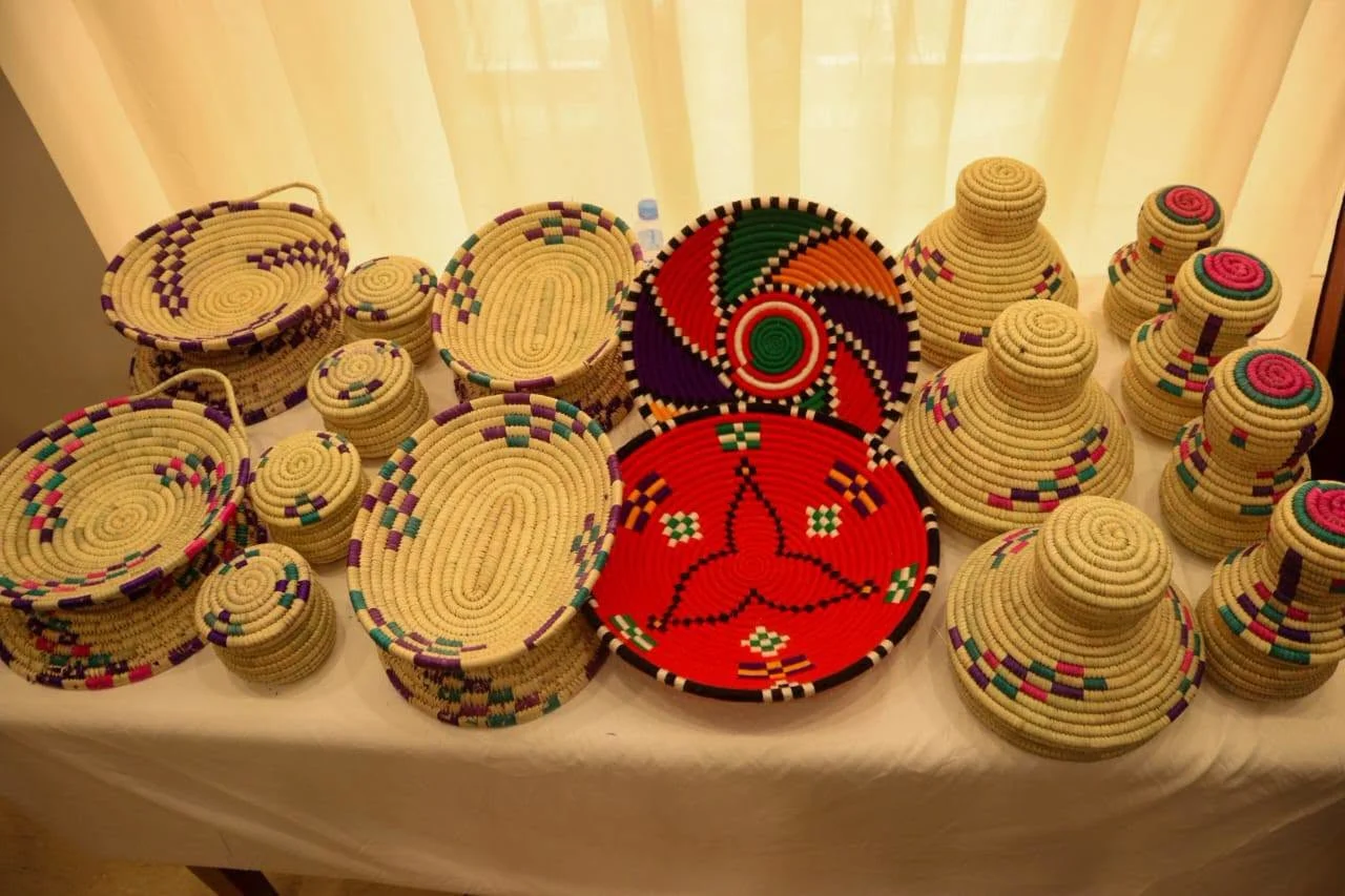 Launch of the Foggara tourist complex in Adrar province