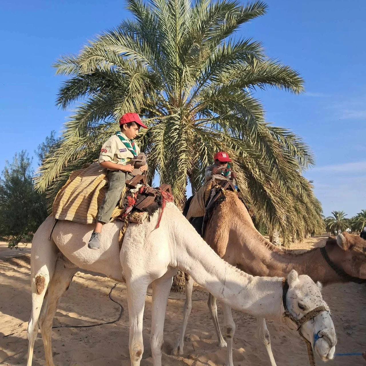 نشاط تعريف الأطفال بالسياحة بالتعاون مع الكشافة الإسلامية