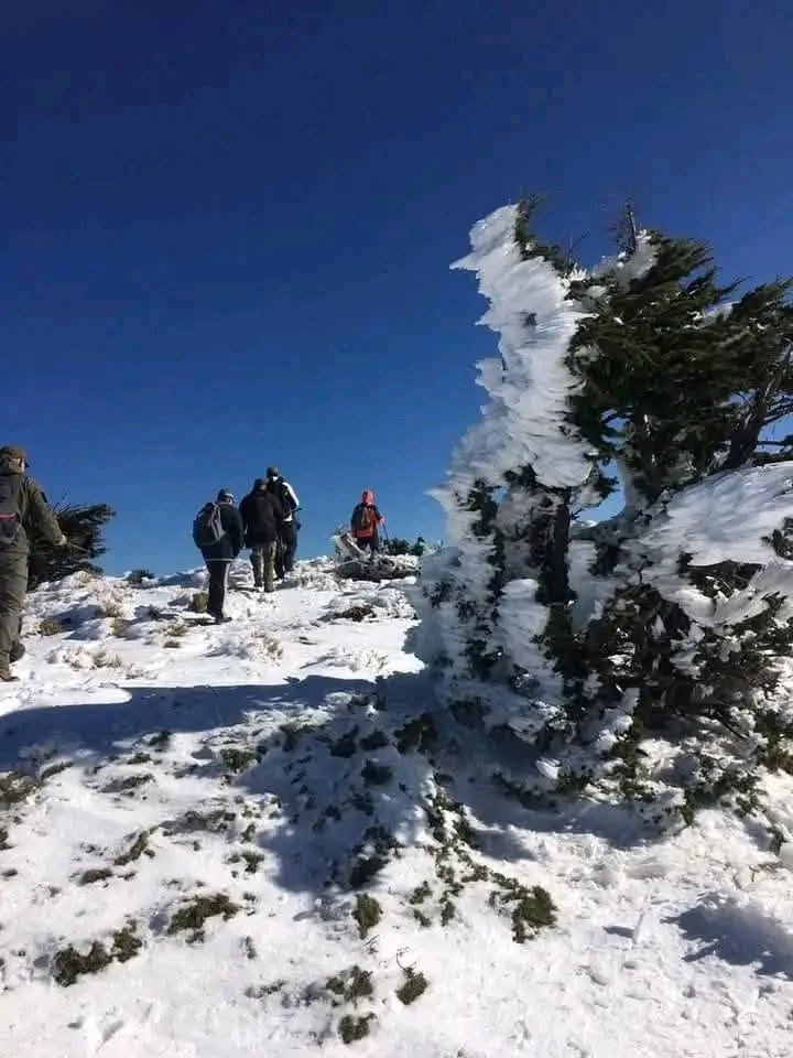 The snow-covered Djurdjura heights between Tizi Ouzou and Bouira