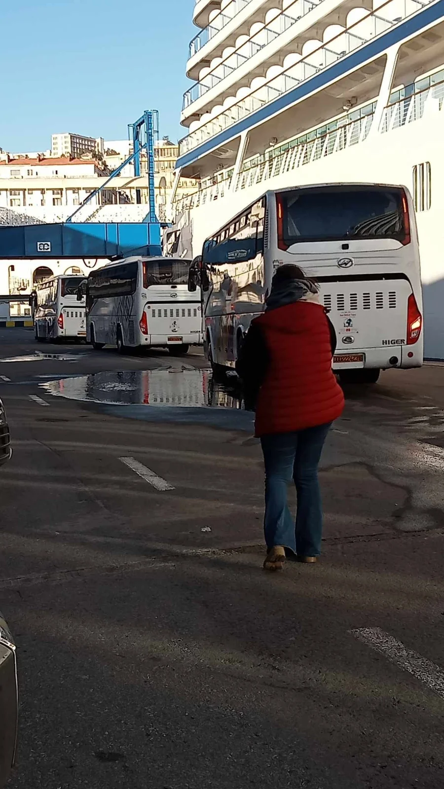 Принятие круизного судна Viking Saturn Bergen в порту Алжира