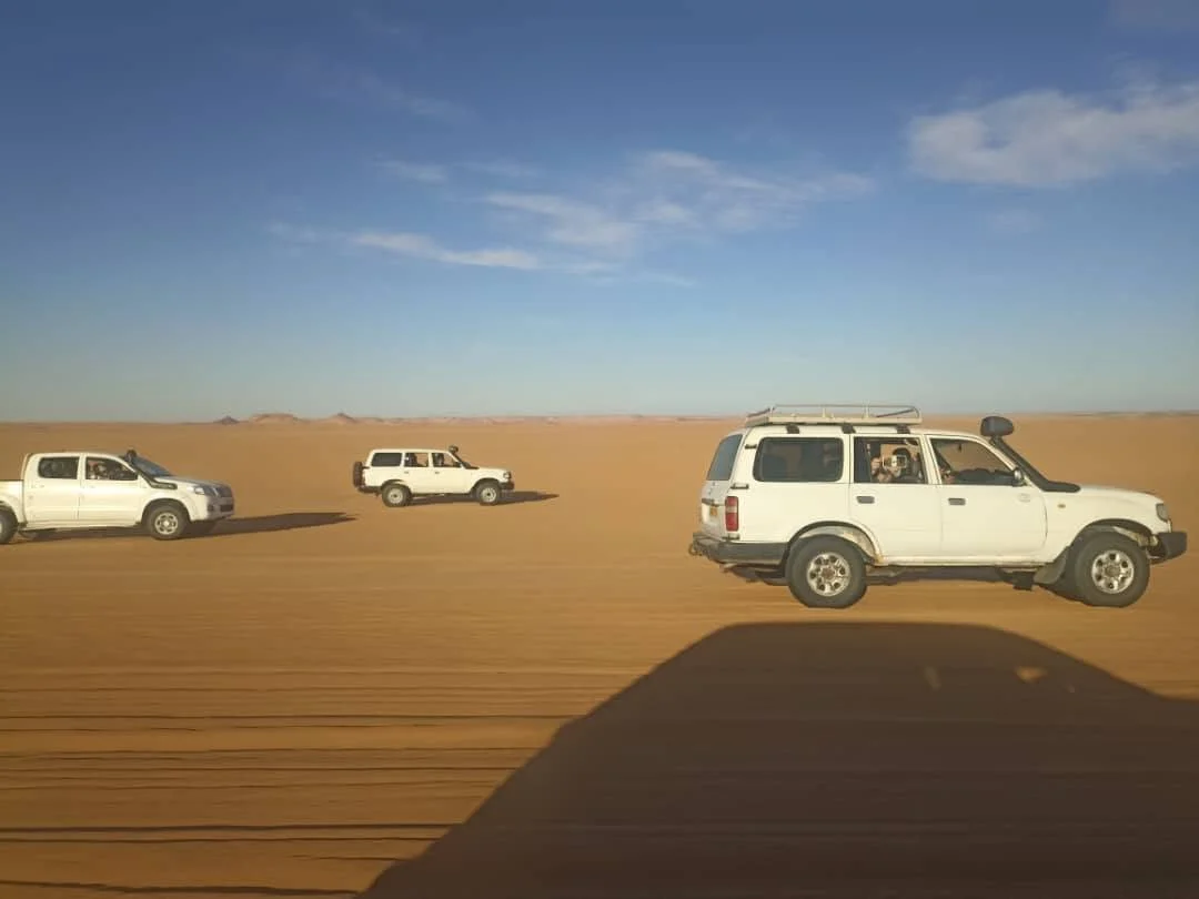 اليوم الرابع للوفد الصحفي الأمريكي في تيميمون