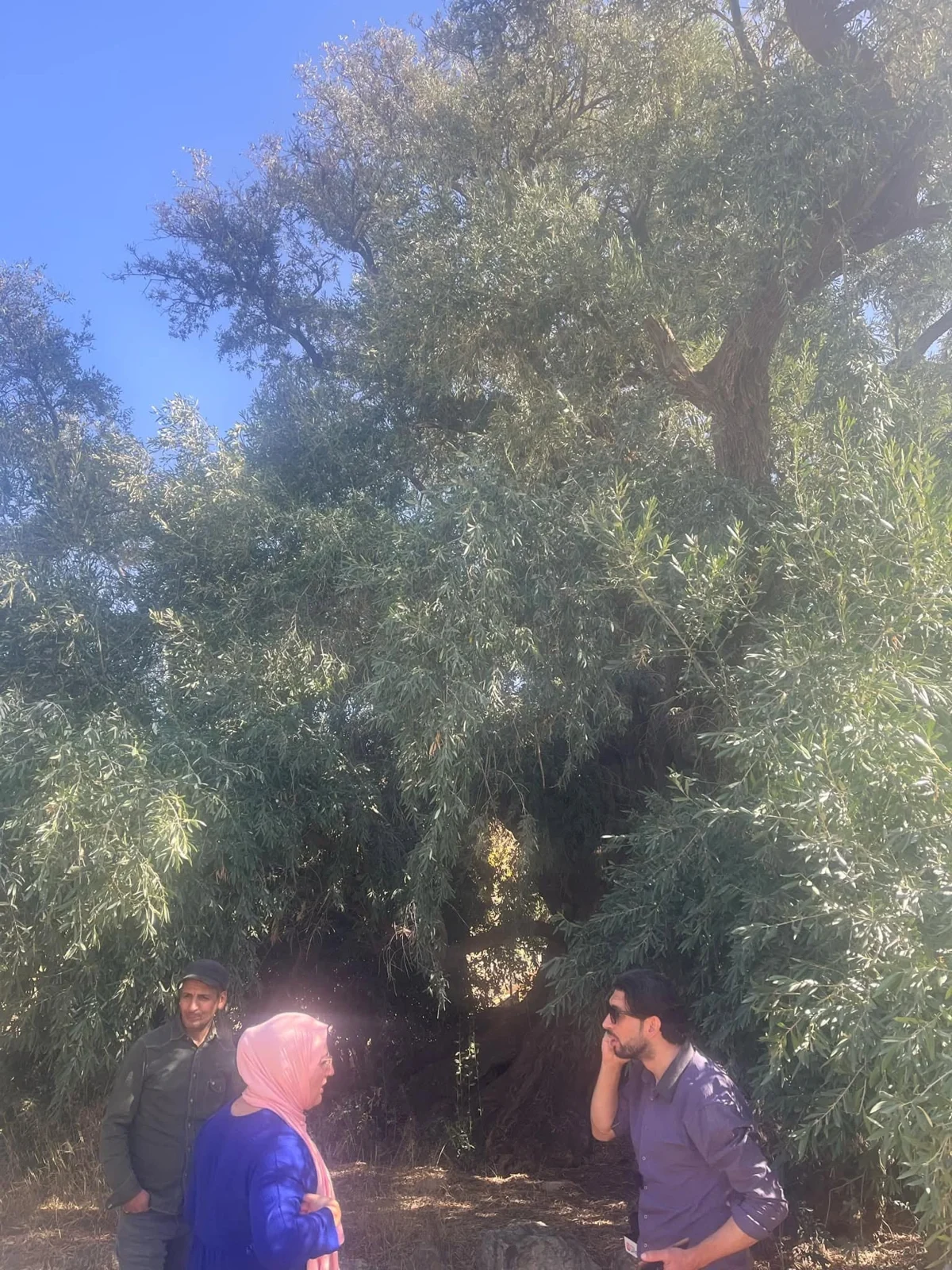 Excursión de periodistas a los itinerarios históricos en Beni Slimane en la década de los 70 de la Revolución