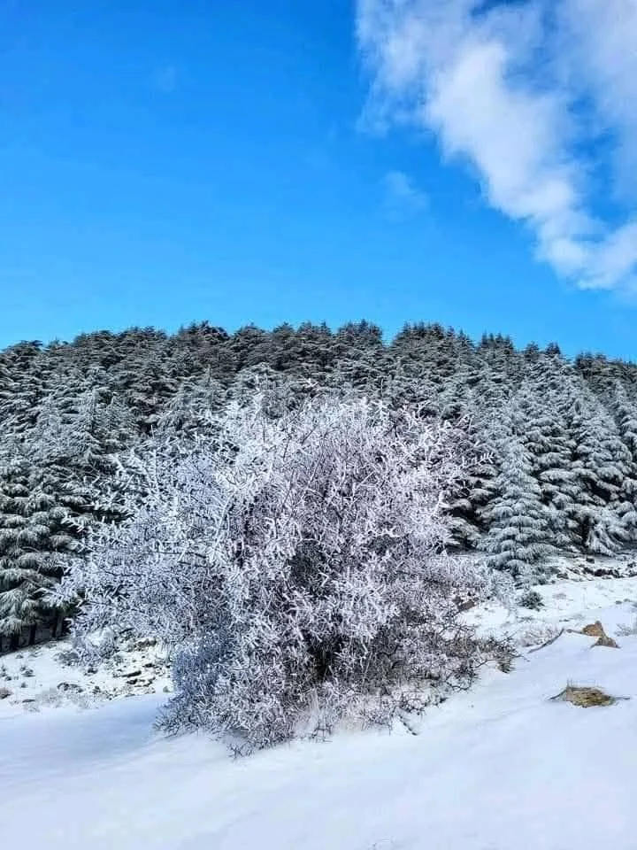 The snow-covered Djurdjura heights between Tizi Ouzou and Bouira