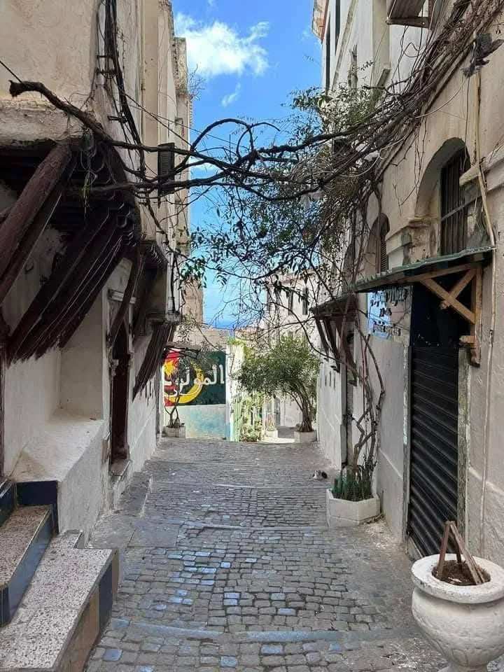 Beauty and grandeur of the architecture in the Kasbah of Algiers
