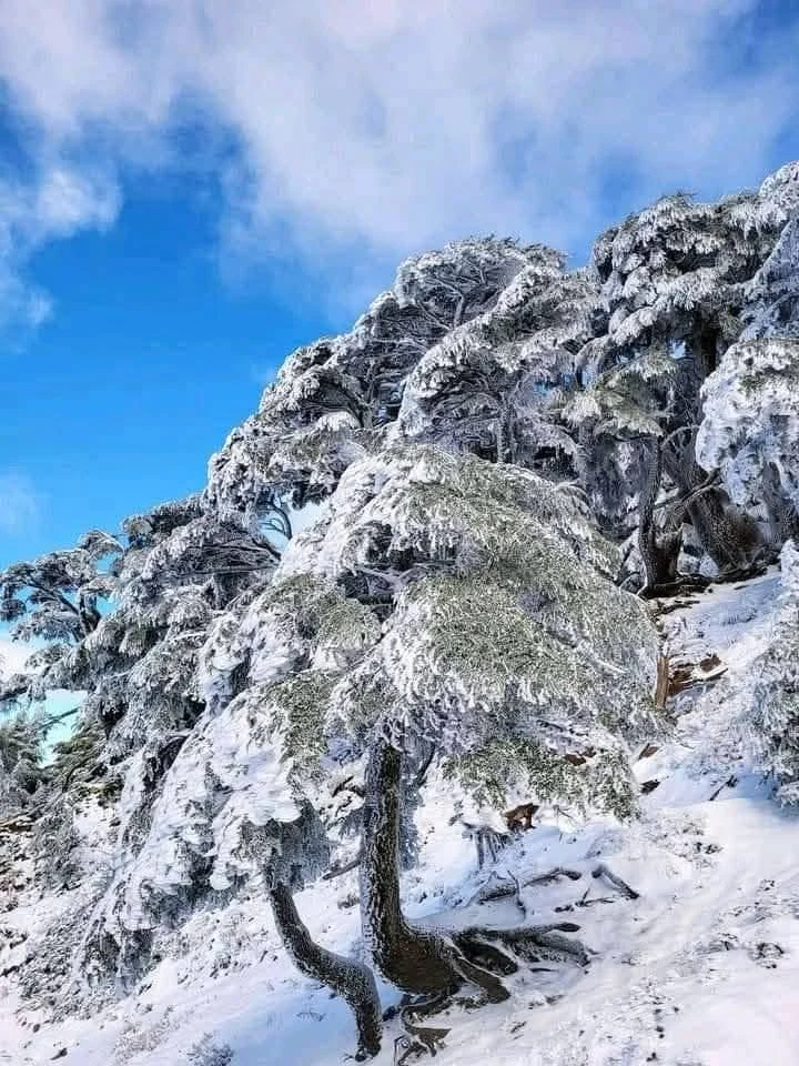 The snow-covered Djurdjura heights between Tizi Ouzou and Bouira