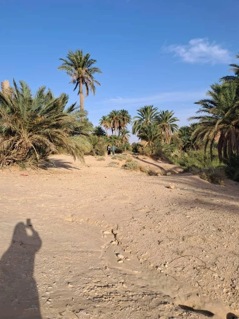 庆祝世界旅游日，主题为“旅游与可持续转型”